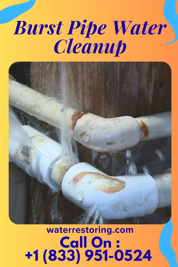 Burst Pipe Water Cleanup in Wesson, MS