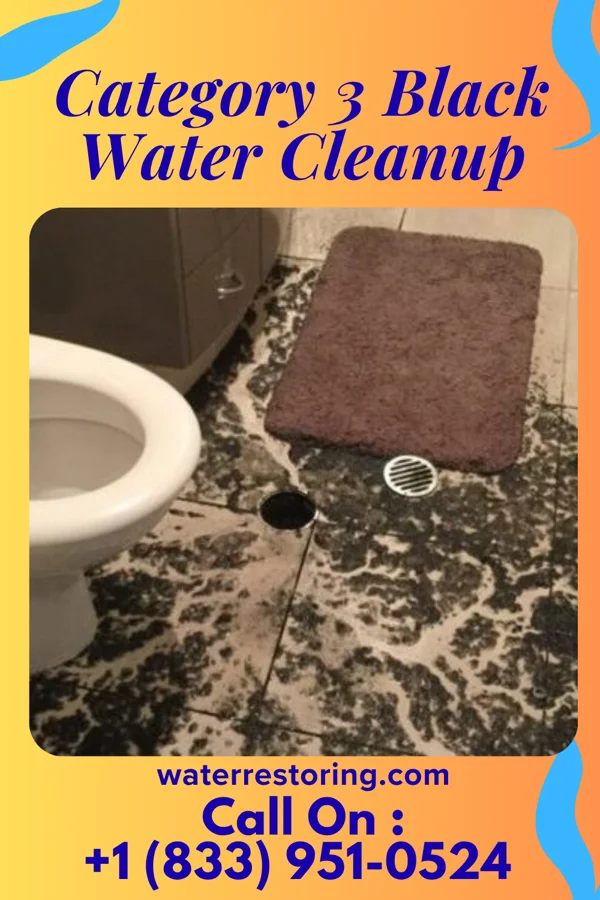 Category 3 Black Water Cleanup in Wesson, MS