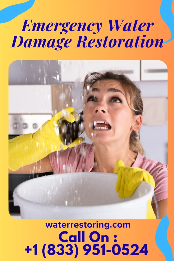 Emergency Water Damage Restoration in Wesson, MS