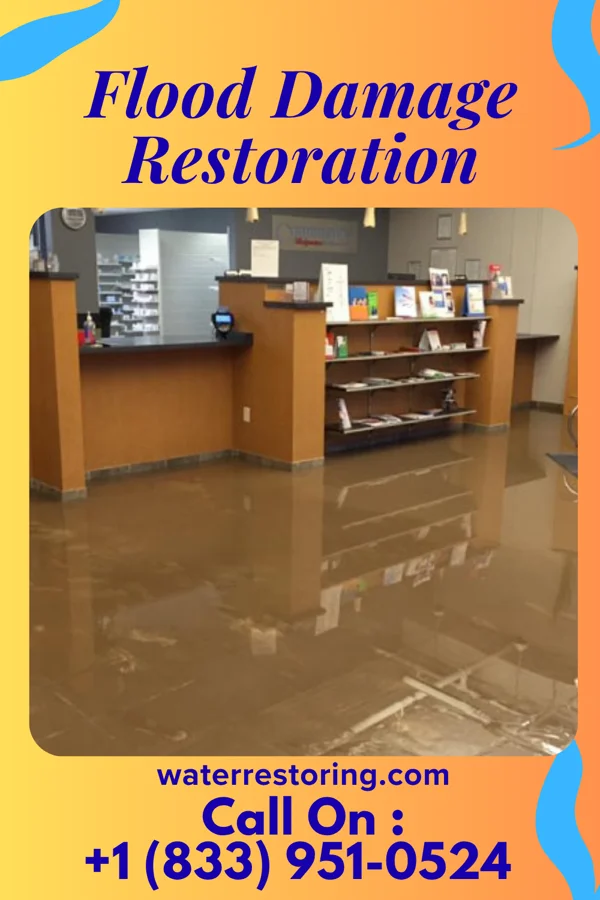 Flood Damage Restoration in Wesson, MS