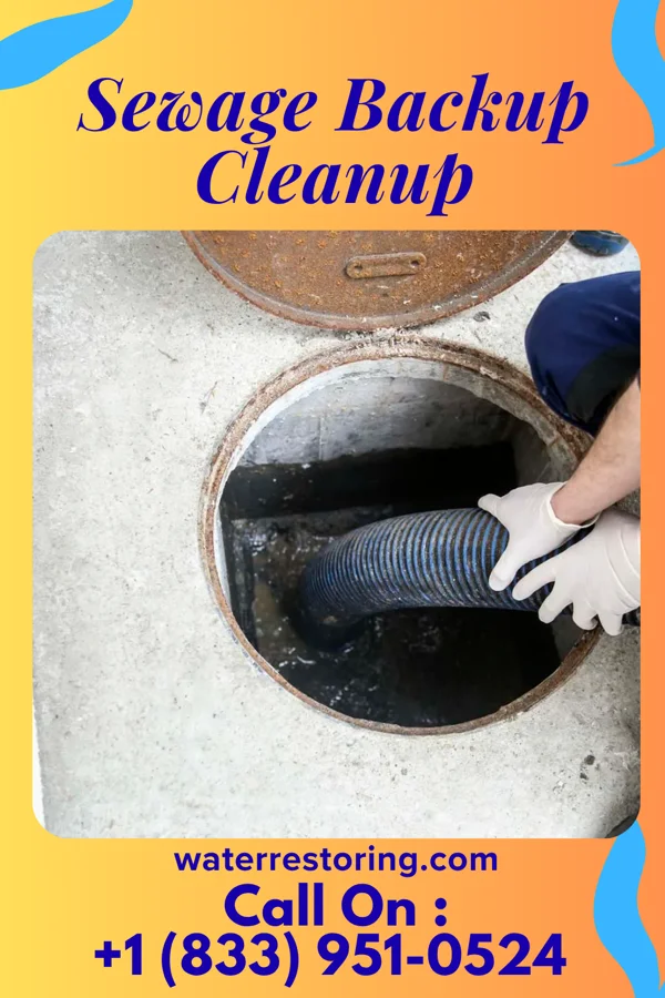 Sewage Backup Cleanup in Wesson, MS